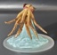 Juvenile Kraken